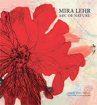 MIRA LEHR
Arc of Nature
